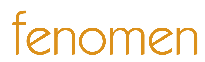 Fenomen Logo Small